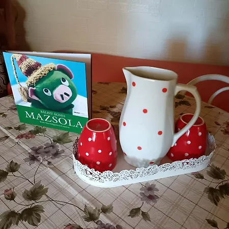 Orsegi Mazsola Vendeghaz Prázdninový dům *